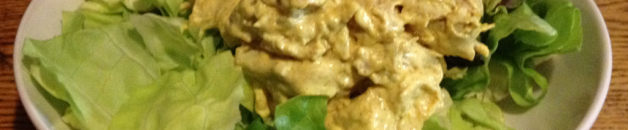 Curried Turkey Salad curried_turkey_salad_served