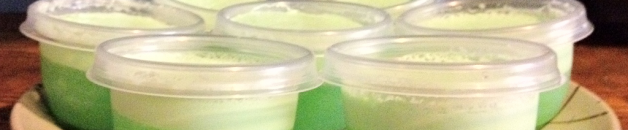 Sugar Free Jell-O Magic Mousse sugar_free_jello_magic_mousse_layered